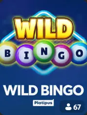 Wild Bingo BC Game Mauritius game cover