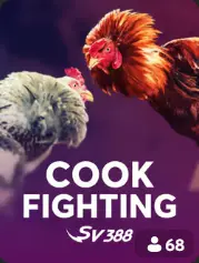Cock Fighting BC Game Mauritius game cover